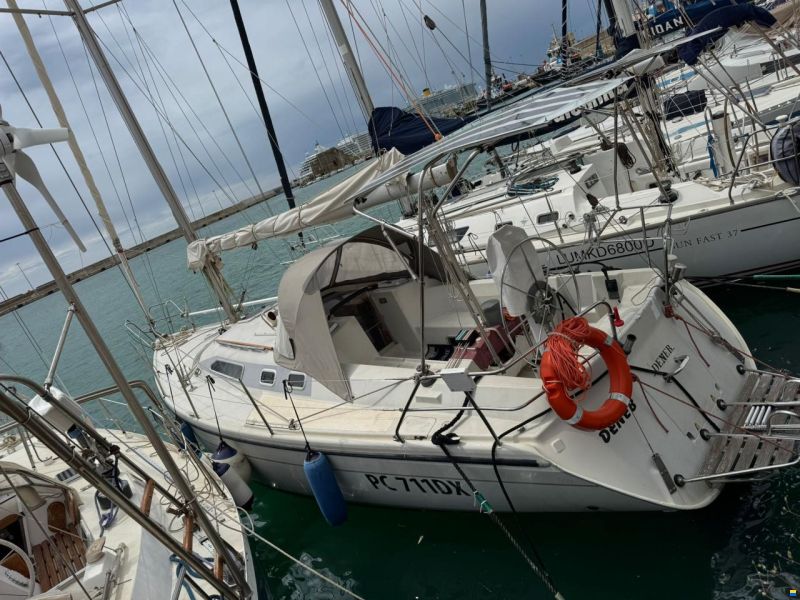 Dehler 36 CWS