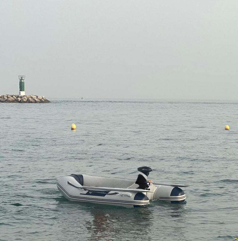 Sea Ray 290 SLX