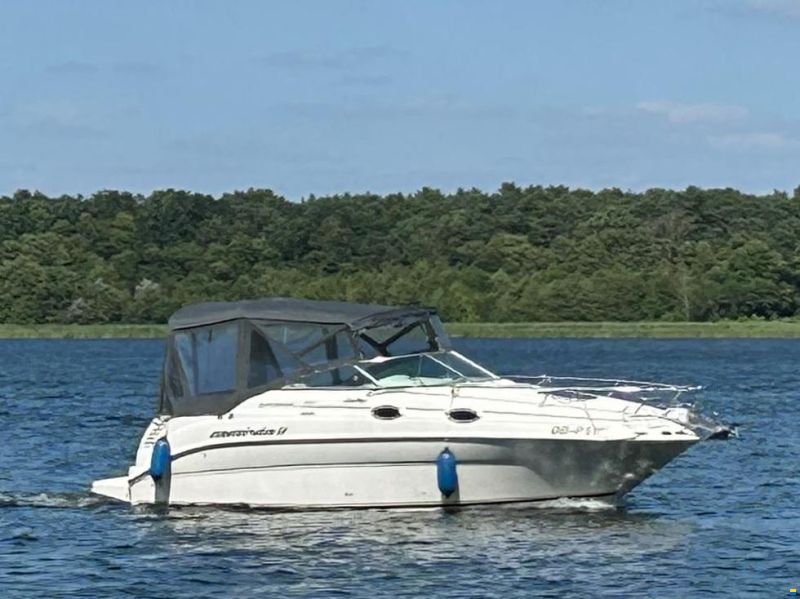 Sea Ray 240 DA