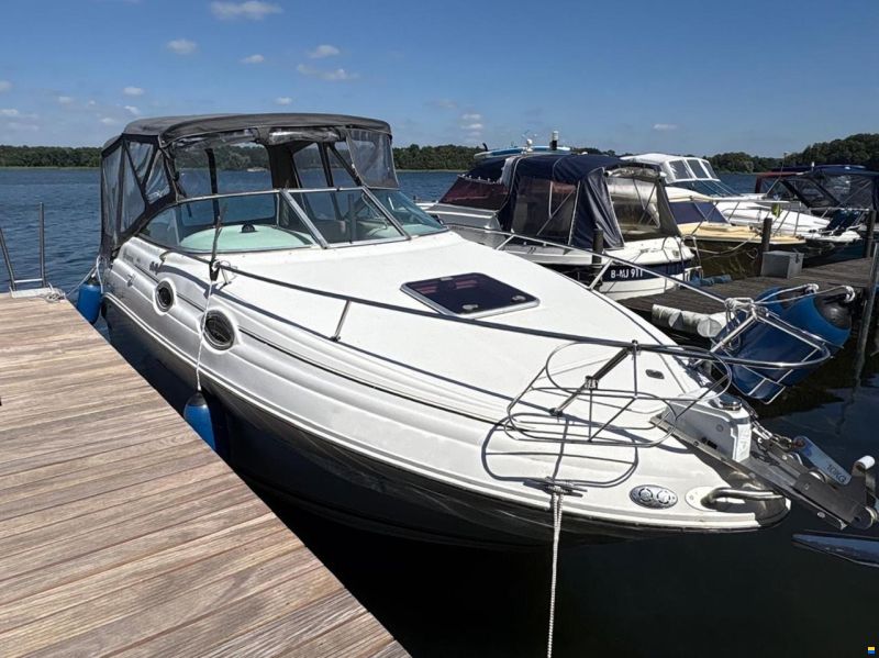 Sea Ray 240 DA