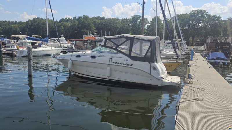 Sea Ray 240 DA