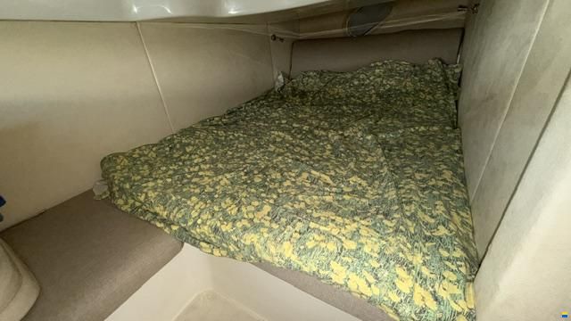 Cranchi ZAFFIRO 32