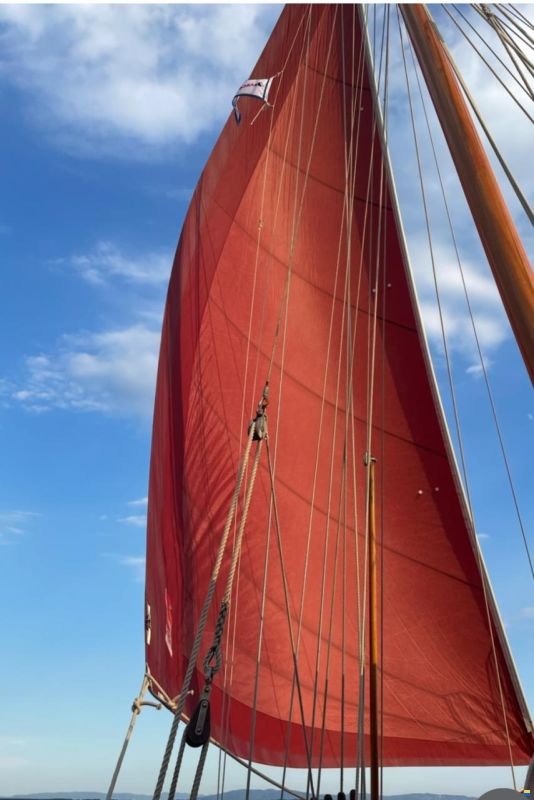 Colin Archer Polar 34