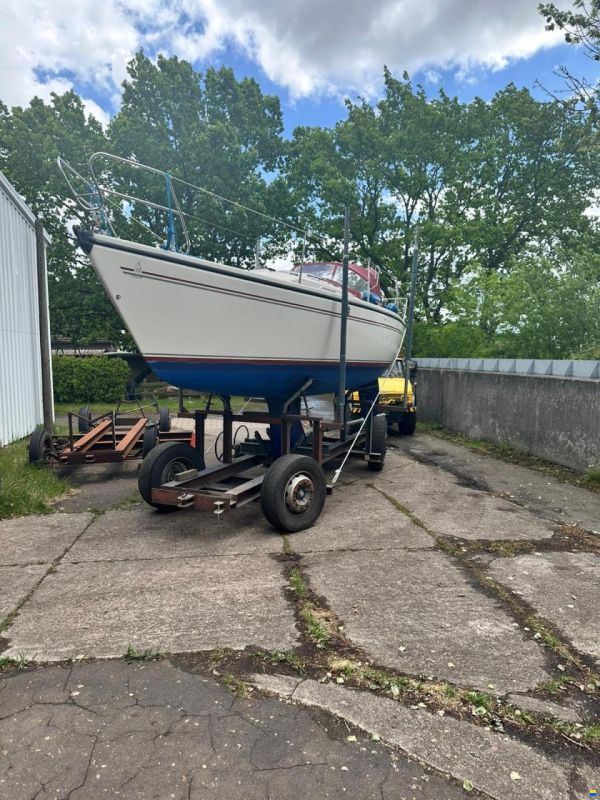 Dehler 32
