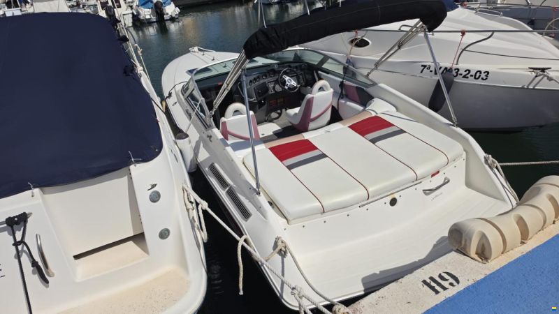 Sea Ray Pachanga