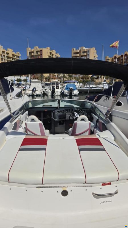 Sea Ray Pachanga