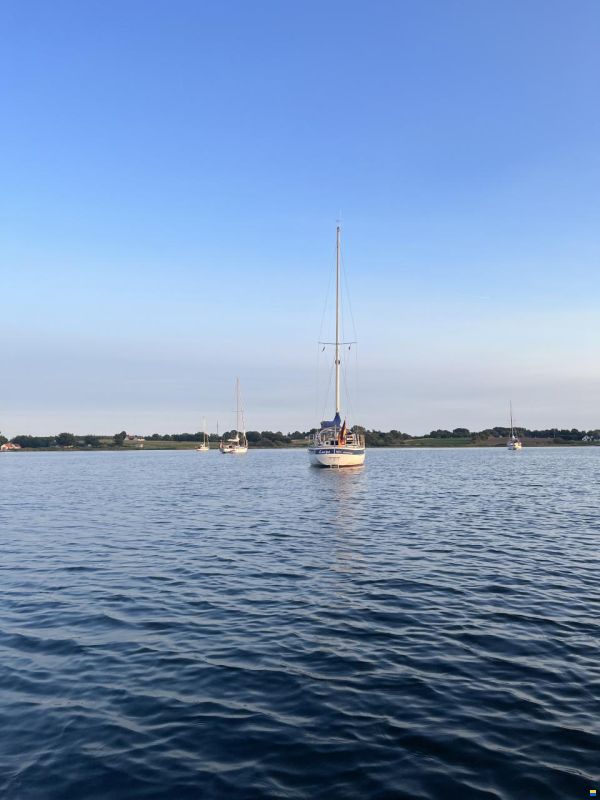 Hallberg-Rassy 312 MK I
