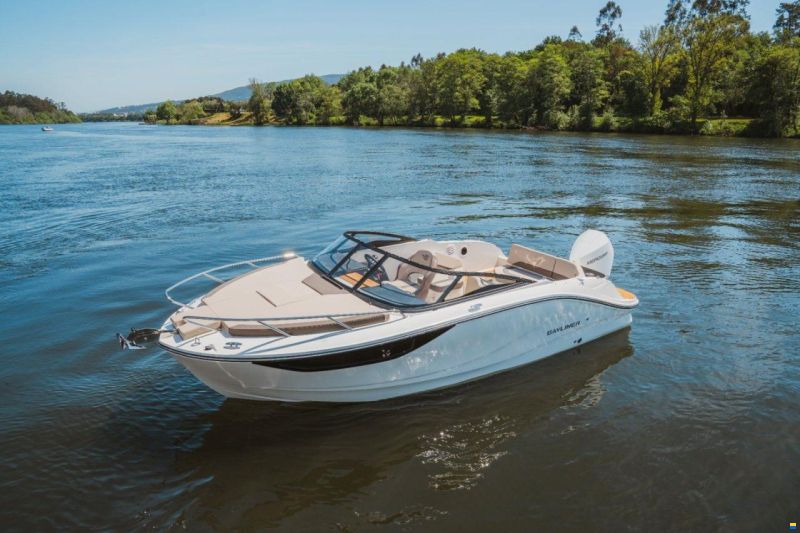 Bayliner C21 OUTBOARD
