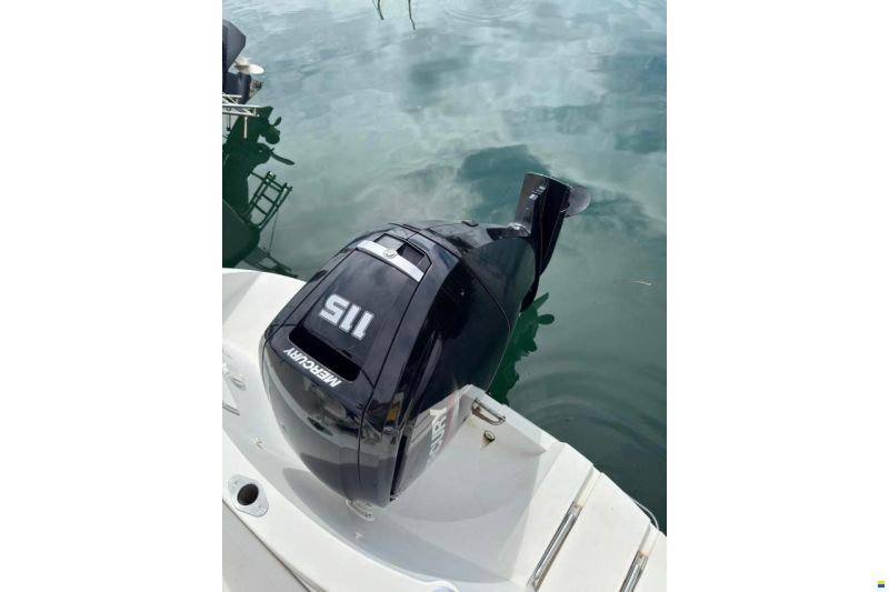 Quicksilver 540 Cruiser