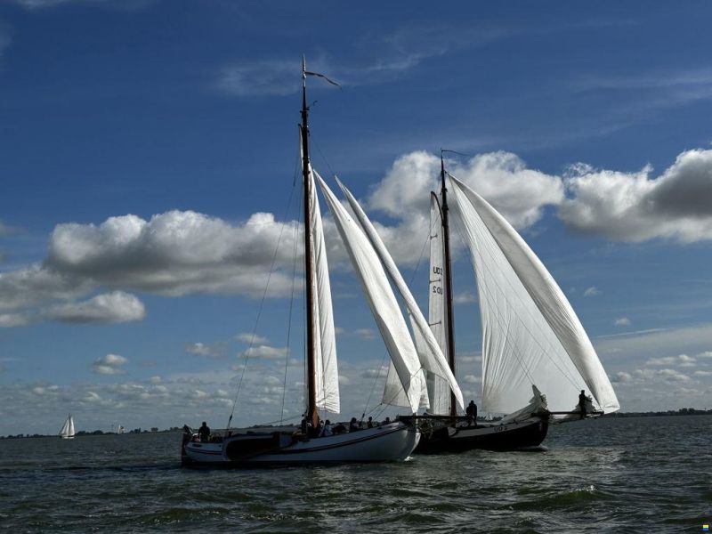 Lemsteraak Witte Eend - Roefuitvoering Hoek Design
