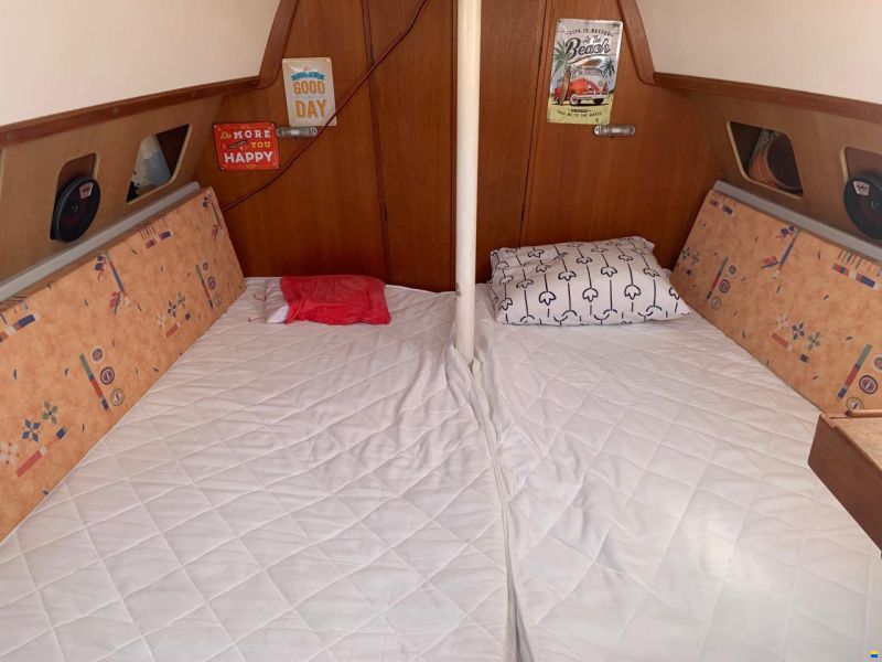 Scampi Lill Scampi 26