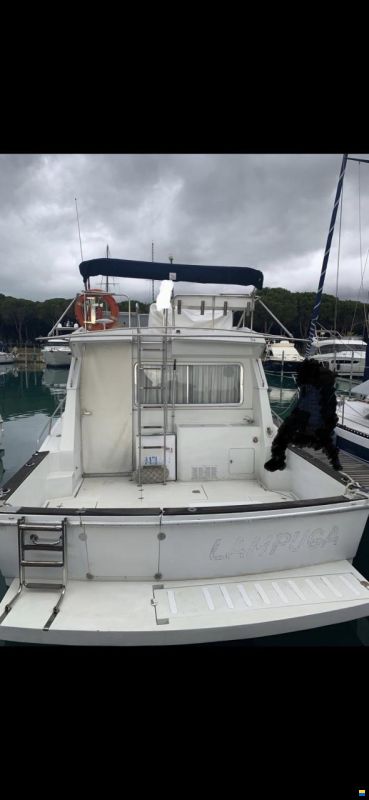 Ferretti Fish/Altura 34