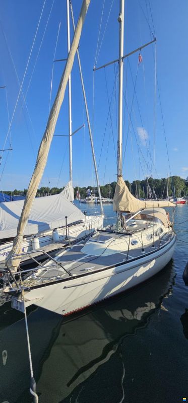 Asmus Hanseat 70 Mk III