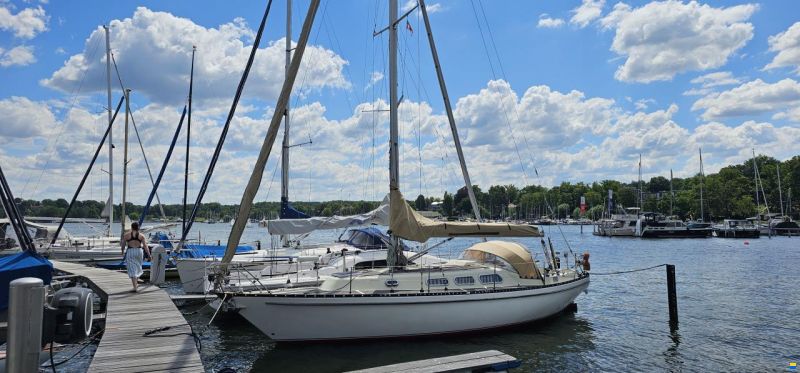 Asmus Hanseat 70 Mk III