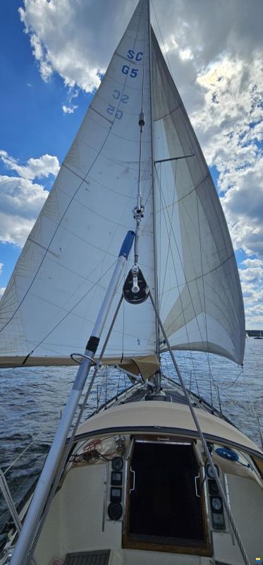 Asmus Hanseat 70 Mk III