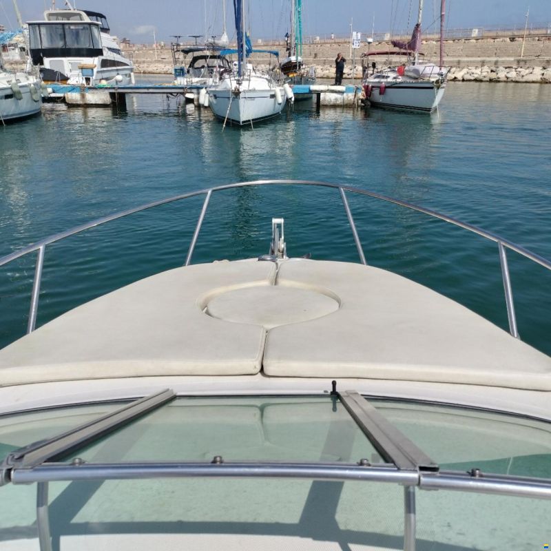 Sessa Islamorada 23