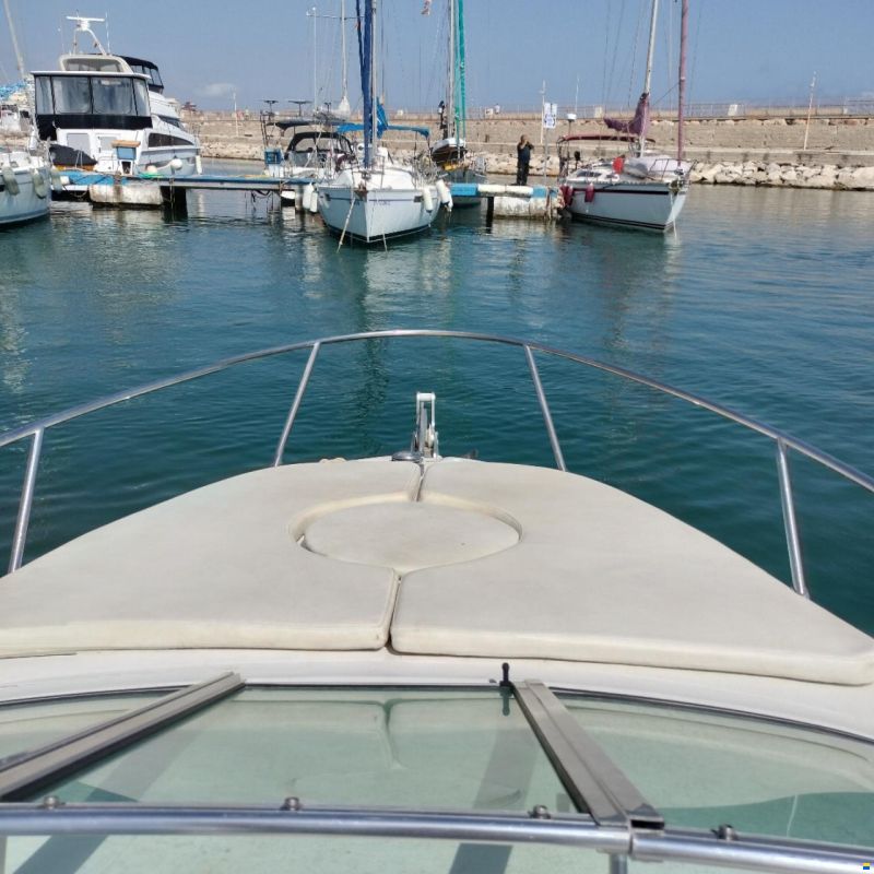 Sessa Islamorada 23