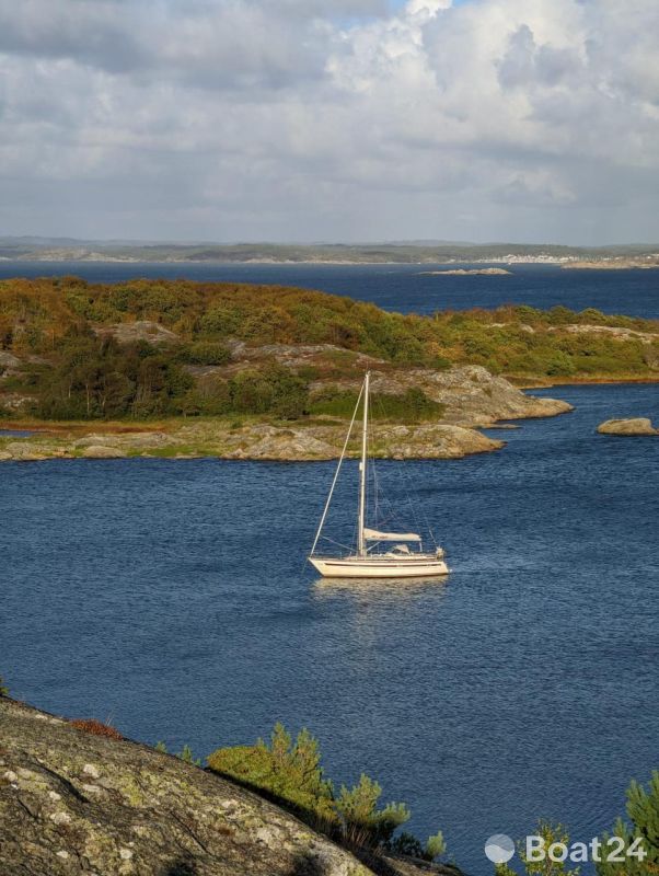 Aphrodite 37