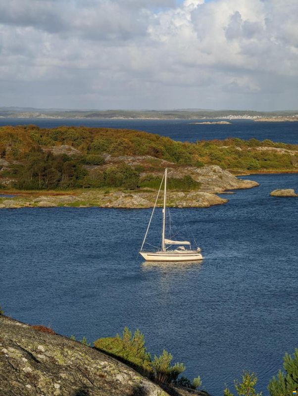 Aphrodite 37