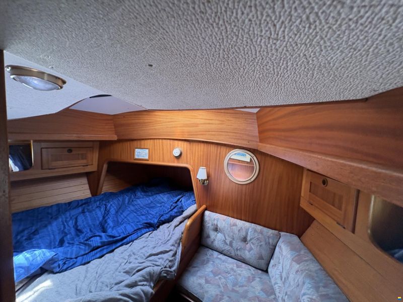 Aphrodite 37