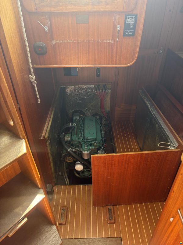 Aphrodite 37
