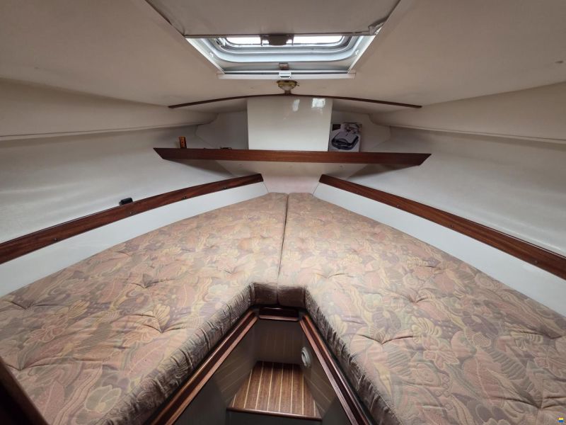 Galeon Caprice 26
