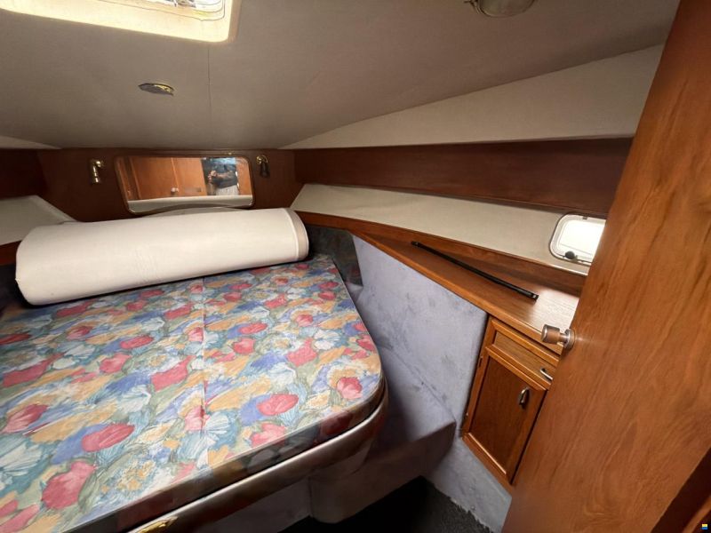 Suncruiser 35