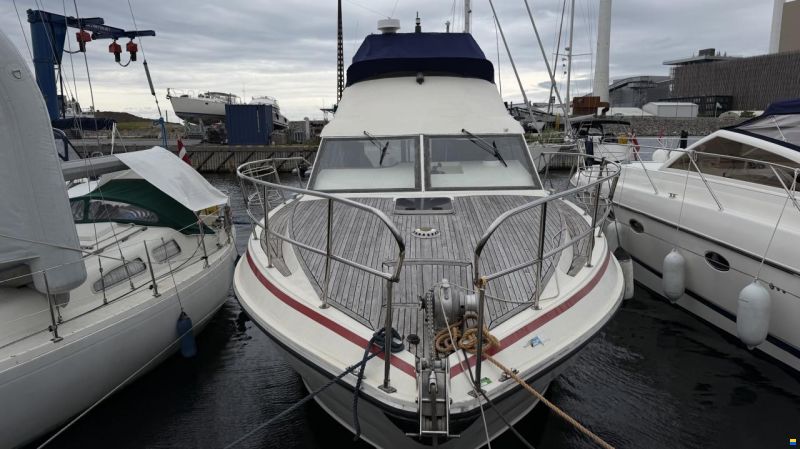 Suncruiser 35