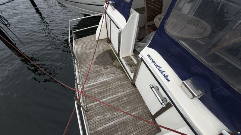 Suncruiser 35