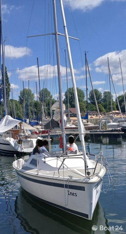 Sailart 17