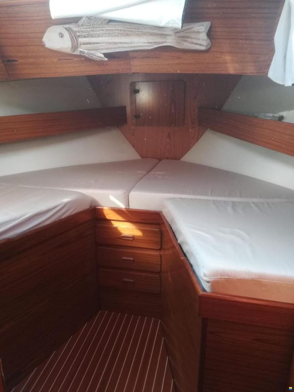 Automarine Tortuga TORTUGA 38