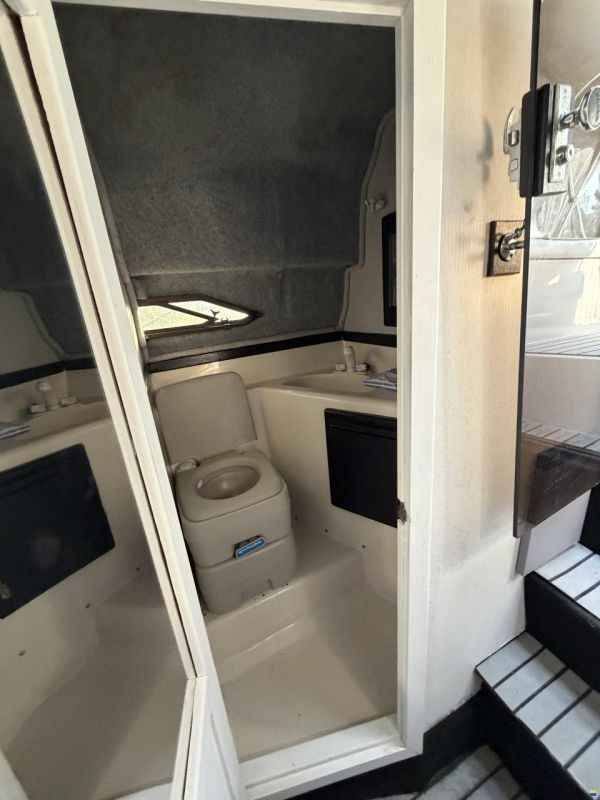 Regal 233 Ambassador Xl