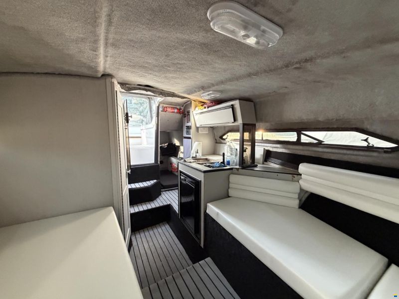 Regal 233 Ambassador Xl