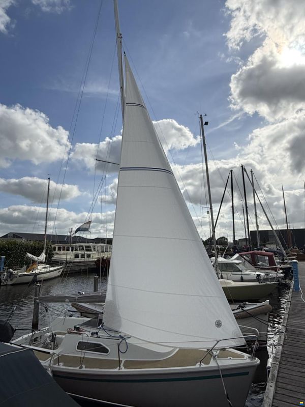 Sailart 18