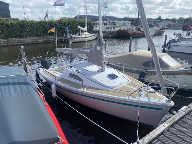 Sailart 18