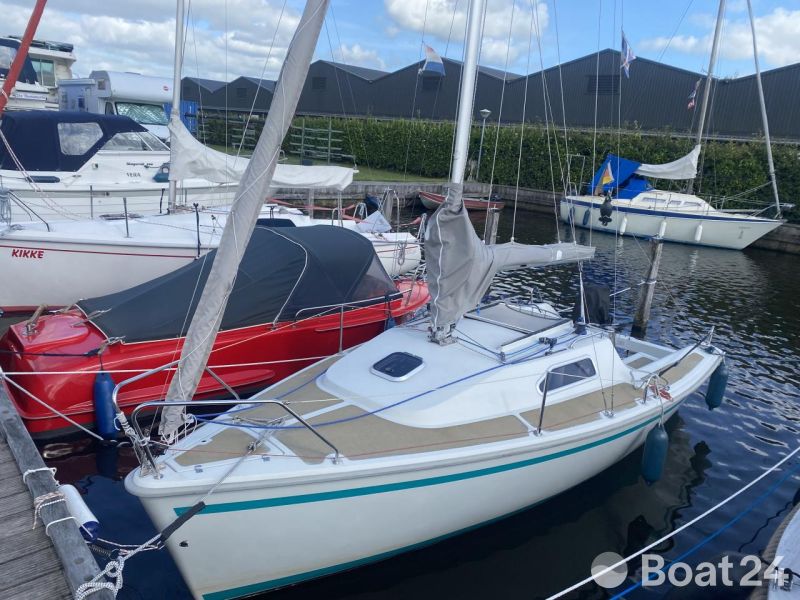 Sailart 18