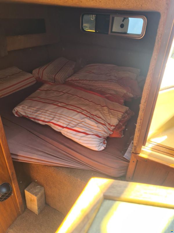 Sea Ray SRV 245 Sundancer