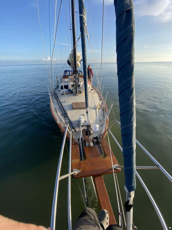 Endurance 37