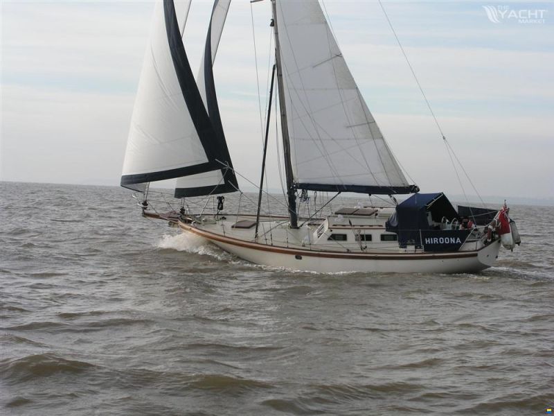 Endurance 37