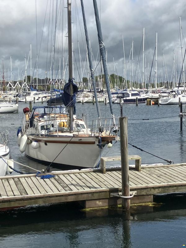 Endurance 37