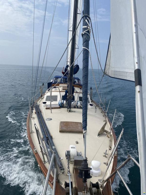 Endurance 37