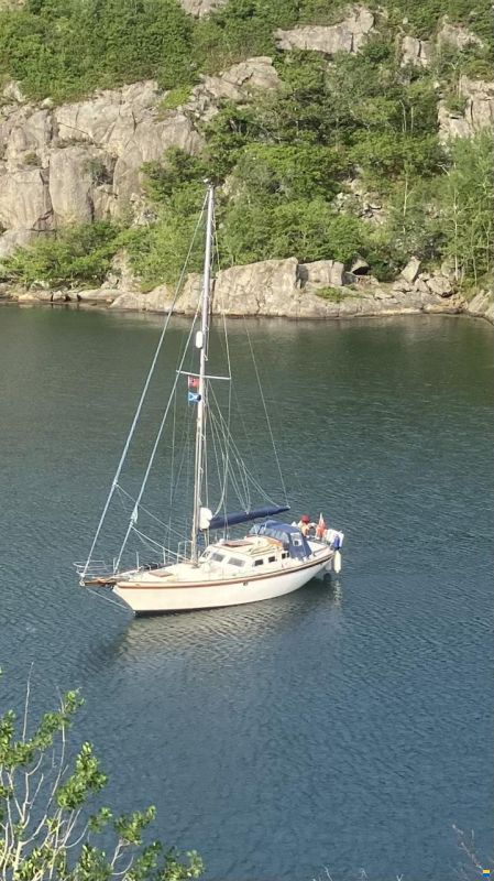 Endurance 37