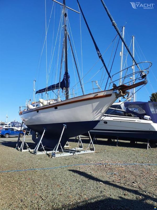 Endurance 37
