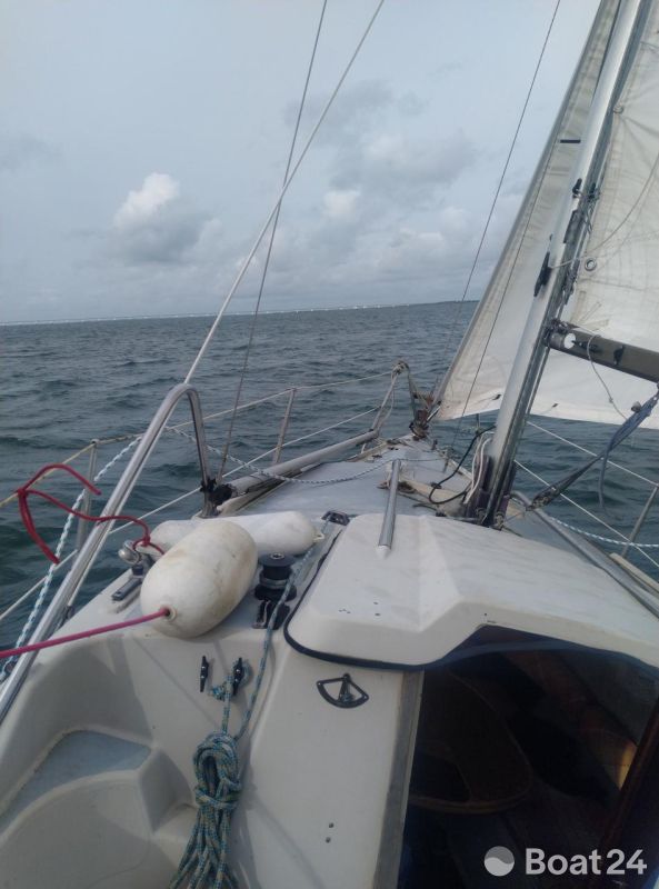 Dehler Delanta 80