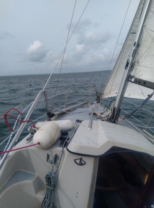 Dehler Delanta 80