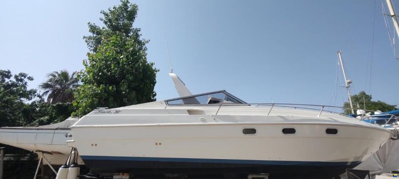 Fiart 30