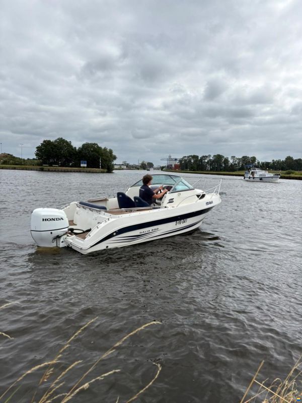 Galia GALEON 600