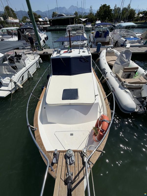 Sciallino 27