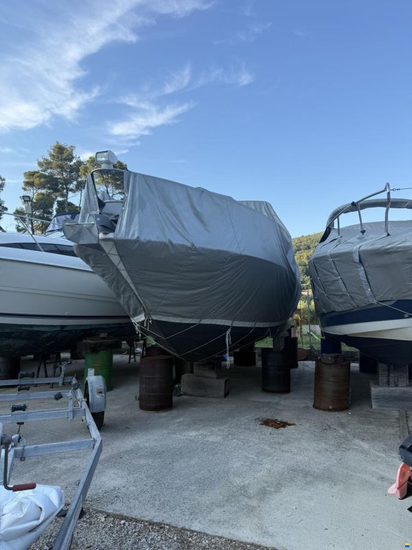 Bayliner 3055
