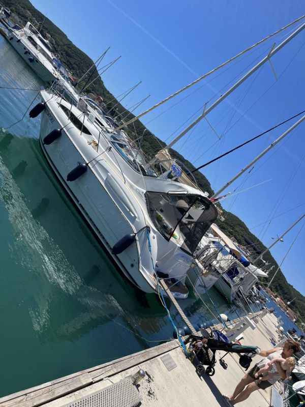 Bayliner 3055